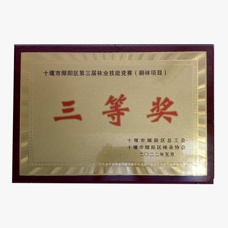 十堰市鄖陽區第三屆襪業技能競賽三等獎