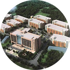 安徽基地