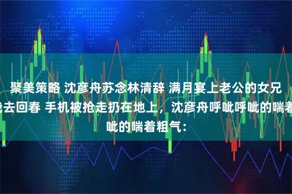 聚美策略 沈彦舟苏念林清辞 满月宴上老公的女兄弟让我去回春 手机被抢走扔在地上，沈彦舟呼呲呼呲的喘着粗气：
