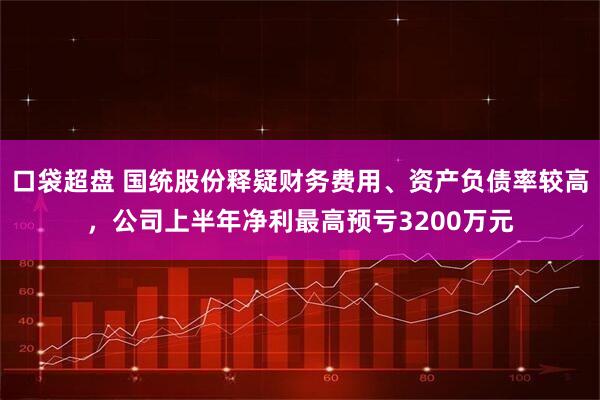 口袋超盘 国统股份释疑财务费用、资产负债率较高，公司上半年净利最高预亏3200万元